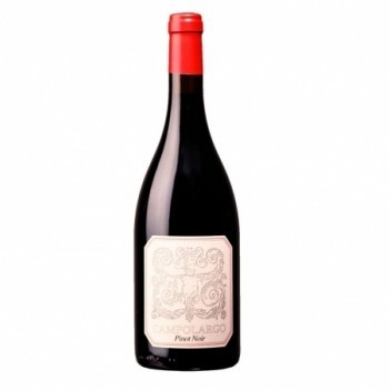 Campolargo Pinot Noir Tinto 2022