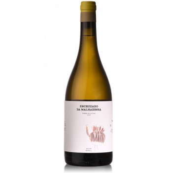 Vinho Branco Encruzado da Malhadinha - Vinha do Olival 2020