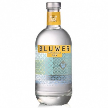 Gin Bluwer Invisible 
