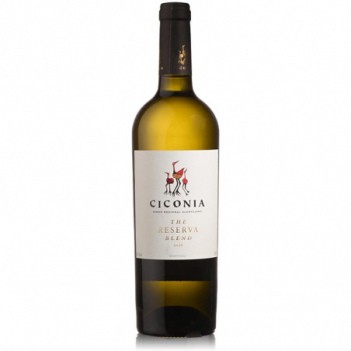 Vinho Branco Ciconia Reserva 2020