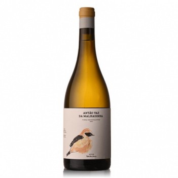 Vinho Branco Antão Vaz da Malhadinha - Vinha dos Eucaliptos 2021