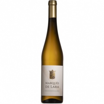 Vinho Verde Branco Marques de Lara Sauvignon Blanc 2023
