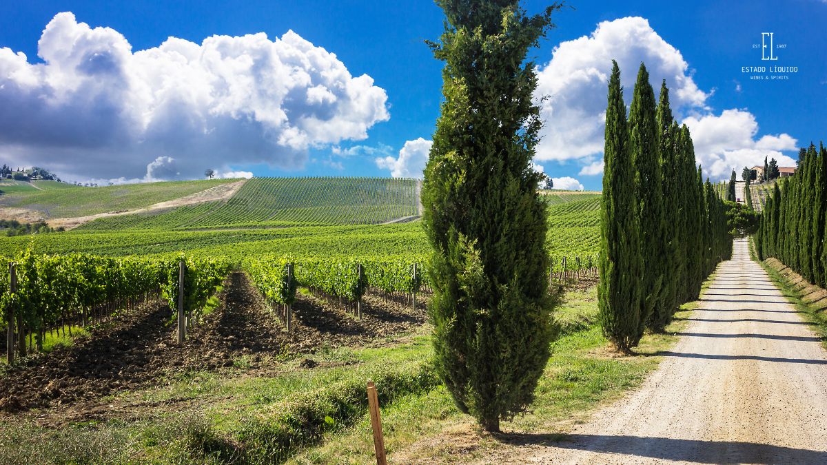 Descubra a Toscana: Castas e paisagens que encantam.